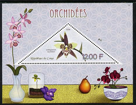 Congo 2014 Orchids perf s/sheet containing one triangular-shaped value unmounted mint , stamps on , stamps on  stamps on shaped, stamps on  stamps on triangular, stamps on  stamps on flowers, stamps on  stamps on orchids