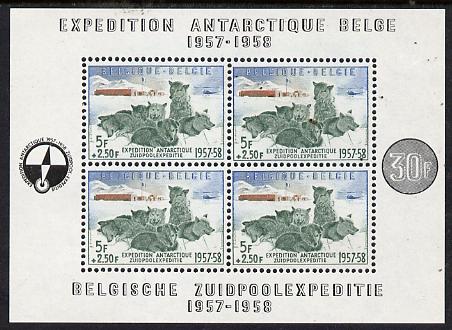 Belgium 1957 Belgian Antarctic Expedition (Sledge Dogs) perf m/sheet unmounted mint SG MS1620, stamps on , stamps on  stamps on polar, stamps on  stamps on dogs, stamps on  stamps on 