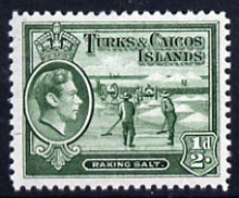 Turks & Caicos Islands 1938 KG6 Raking Salt 1/2d deep green unmounted mint, SG 195a*, stamps on , stamps on  stamps on salt, stamps on  stamps on herbs, stamps on  stamps on spices, stamps on  stamps on food, stamps on  stamps on , stamps on  stamps on  kg6 , stamps on  stamps on , stamps on  stamps on minerals