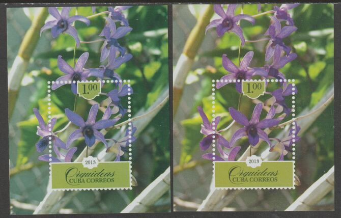 Cuba 2013 Orchids 1p imperf m/sheet - two examples with a superb shade, unmounted mint SG MS5771, stamps on flowers, stamps on orchids