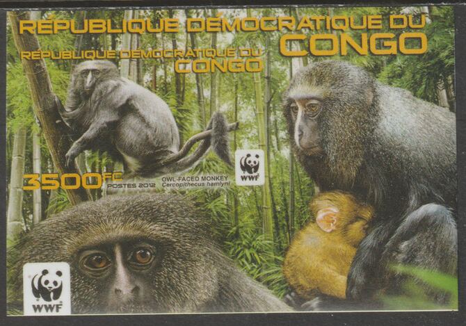 Congo 2012 WWF - Owl Faced Monkey imperf m/sheet unmounted mint, stamps on animals, stamps on  wwf , stamps on monkeys, stamps on primates, stamps on apes, stamps on 