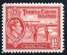 Turks & Caicos Islands 1938 KG6 Raking Salt 1.5d scarlet unmounted mint, SG 197*, stamps on salt, stamps on herbs, stamps on spices, stamps on food, stamps on , stamps on  kg6 , stamps on , stamps on minerals