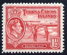 Turks & Caicos Islands 1938 KG6 Raking Salt 1.5d scarlet unmounted mint, SG 197*, stamps on , stamps on  stamps on salt, stamps on  stamps on herbs, stamps on  stamps on spices, stamps on  stamps on food, stamps on  stamps on , stamps on  stamps on  kg6 , stamps on  stamps on , stamps on  stamps on minerals