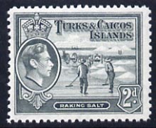 Turks & Caicos Islands 1938 KG6 Raking Salt 2d grey unmounted mint, SG 198*, stamps on , stamps on  stamps on salt, stamps on  stamps on herbs, stamps on  stamps on spices, stamps on  stamps on food, stamps on  stamps on , stamps on  stamps on  kg6 , stamps on  stamps on , stamps on  stamps on minerals