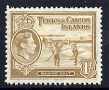Turks & Caicos Islands 1938 KG6 Raking Salt 1s yellow-bistre unmounted mint, SG 202*, stamps on , stamps on  stamps on salt, stamps on  stamps on herbs, stamps on  stamps on spices, stamps on  stamps on food, stamps on  stamps on , stamps on  stamps on  kg6 , stamps on  stamps on , stamps on  stamps on minerals