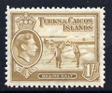 Turks & Caicos Islands 1938 KG6 Raking Salt 1s yellow-bistre unmounted mint, SG 202*, stamps on salt, stamps on herbs, stamps on spices, stamps on food, stamps on , stamps on  kg6 , stamps on , stamps on minerals