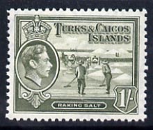 Turks & Caicos Islands 1938 KG6 Raking Salt 1s grey-olive unmounted mint, SG 202a*, stamps on , stamps on  stamps on salt, stamps on  stamps on herbs, stamps on  stamps on spices, stamps on  stamps on food, stamps on  stamps on , stamps on  stamps on  kg6 , stamps on  stamps on , stamps on  stamps on minerals