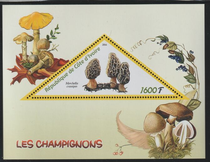 Ivory Coast 2016 Mushrooms perf deluxe sheet containing one triangular value unmounted mint, stamps on , stamps on  stamps on triangular, stamps on  stamps on shaped, stamps on  stamps on fungi