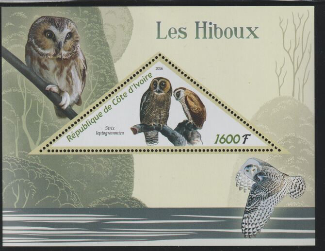 Ivory Coast 2016 Owls perf deluxe sheet containing one triangular value unmounted mint, stamps on triangular, stamps on shaped, stamps on birds, stamps on birds of prey, stamps on owls