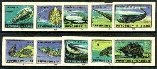 Match Box Labels - 10 Prehistoric Animals (part 1 of 4 nos 1-10), superb unused condition (Czechoslovakian Solo Match Co), stamps on , stamps on  stamps on dinosaurs, stamps on shells, stamps on marine-life, stamps on fish