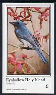 Eynhallow 1982 Birds #14 imperf souvenir sheet (£1 value) unmounted mint, stamps on birds