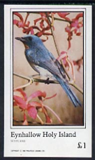 Eynhallow 1982 Birds #14 imperf souvenir sheet (Â£1 value) unmounted mint, stamps on birds