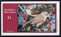 Eynhallow 1982 Birds #16 imperf souvenir sheet (Â£1 value) unmounted mint, stamps on , stamps on  stamps on birds