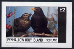 Eynhallow 1982 Birds #16 (Blackbird) imperf deluxe sheet (£2 value) unmounted mint, stamps on birds