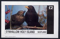 Eynhallow 1982 Birds #16 (Blackbird) imperf deluxe sheet (2 value) unmounted mint