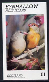 Eynhallow 1982 Love Birds imperf souvenir sheet (£1 value) unmounted mint, stamps on birds