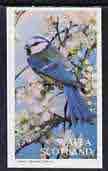 Staffa 1982 Birds #35 imperf souvenir sheet (£1 value)  unmounted mint, stamps on birds