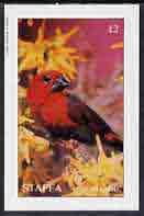 Staffa 1982 Birds #35 imperf deluxe sheet (£2 value) unmounted mint, stamps on birds