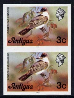 Antigua 1976 Loggerhead Kingbird 3c (with imprint) unmounted mint imperforate pair (as SG 472B), stamps on birds