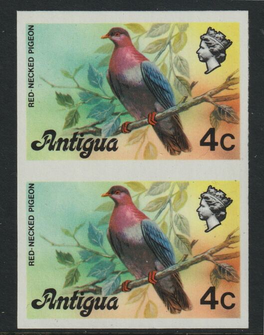 Antigua 1976 Red-necked pigeon 4c (without imprint) unmounted mint imperforate pair (as SG 473A), stamps on birds, stamps on pigeons