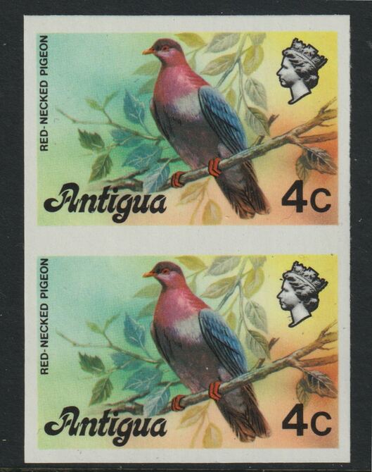 Antigua 1976 Red-necked pigeon 4c (without imprint) unmounted mint imperforate pair (as SG 473A), stamps on , stamps on  stamps on birds, stamps on pigeons