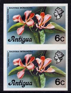 Antigua 1976 Orchid Tree 6c (without imprint) unmounted mint imperforate pair (as SG 475A), stamps on , stamps on  stamps on orchids, stamps on trees