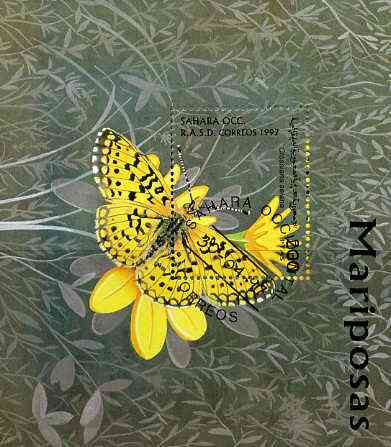 Sahara Republic 1997 Butterflies perf miniature sheet cto used, stamps on butterflies