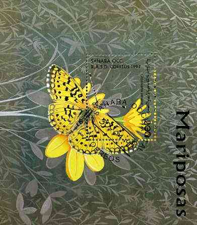 Sahara Republic 1997 Butterflies perf miniature sheet cto used, stamps on , stamps on  stamps on butterflies