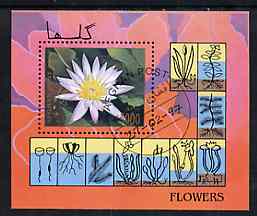 Afghanistan 1997 Wild Flowers perf miniature sheet cto used, stamps on flowers, stamps on ferns 