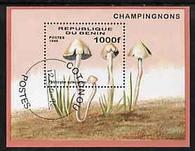 Benin 1996 Mushrooms m/sheet (1000f value) cto used Mi BL 22, stamps on fungi