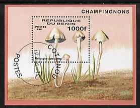 Benin 1996 Mushrooms m/sheet (1000f value) cto used Mi BL 22, stamps on , stamps on  stamps on fungi