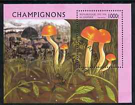 Guinea - Conakry 1996 Fungi perf m/sheet fine cto used, stamps on fungi
