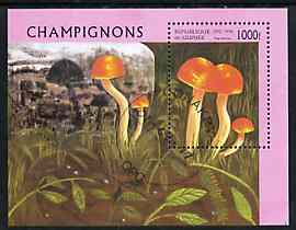 Guinea - Conakry 1996 Fungi perf m/sheet fine cto used, stamps on , stamps on  stamps on fungi