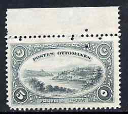 Turkey 1920 Candilli on the River Bosphorus 5pi grey with four-hole diamond security specimen punch from the single file-copy sheet of 100 from the Bradbury Wilkinson sample book. The original sheet was carefully removed preserving some of the original gum, as SG 966, stamps on , stamps on stamps on rivers