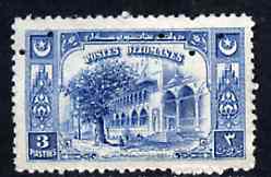 Turkey 1920 Fountains of Suleiman 3pi blue with four-hole diamond security specimen punch from the single file-copy sheet of 100 from the Bradbury Wilkinson sample book.  The original sheet was carefully removed preserving some of the original gum, as SG 965, stamps on , stamps on  stamps on fountains