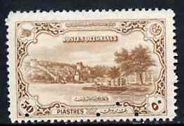 Turkey 1920 The River Bosphorus at Rumeli Hisar 50pi brown with four-hole diamond security specimen punch from the single file-copy sheet of 100 from the Bradbury Wilkinson sample book. The original sheet was carefully removed preserving some of the original gum, as SG 969, stamps on , stamps on stamps on rivers
