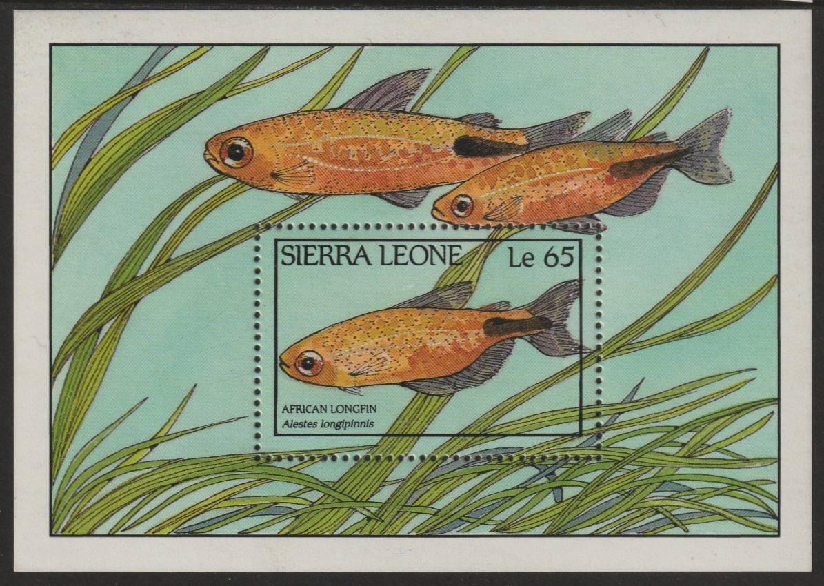 Sierra Leone 1988 Fishes m/sheet 65L, SG MS 1130 unmounted mint, stamps on , stamps on  stamps on fish, stamps on  stamps on marine-life