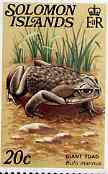 Solomon Islands 1979 Giant Toad 20c (without imprint) from Reptiles def set unmounted mint SG 396A, stamps on animals    reptiles    frogs