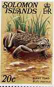 Solomon Islands 1979 Giant Toad 20c (without imprint) from Reptiles def set unmounted mint SG 396A, stamps on , stamps on  stamps on animals    reptiles    frogs