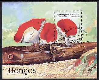 Sahara Republic 1997 Mushrooms perf miniature sheet cto used, stamps on fungi