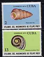 Cuba 1974 the two Shell values from Felipe Poey (Naturalist) set unmounted mint, SG 2126 & 2129, stamps on shells 