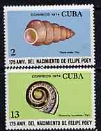 Cuba 1974 the two Shell values from Felipe Poey (Naturalist) set unmounted mint, SG 2126 & 2129, stamps on shells 