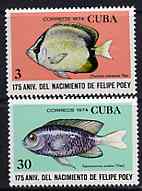 Cuba 1974 the two Fish values from Felipe Poey (Naturalist) set unmounted mint, SG 2127 & 2130, stamps on , stamps on  stamps on fish