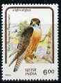India 1992 Birds of Prey 6r Falcon unmounted mint with yellow plumage (dry print of red) plus normal, SG 1526var, stamps on birds of prey      falcon