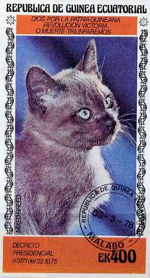 Equatorial Guinea 1978 Domestic Cats 400ek imperf m/sheet (Mixed Breed) cto used, stamps on , stamps on  stamps on animals   cats