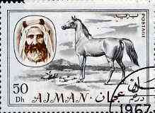 Ajman 1967 Horse 50Dh cto used from Transport perf set of 14, Mi 134*, stamps on , stamps on  stamps on animals    horses, stamps on horse racing