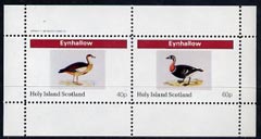 Eynhallow 1982 Water Birds perf  sheetlet containing complete set of 2 values (40p & 60p) unmounted mint, stamps on , stamps on  stamps on birds