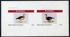 Eynhallow 1982 Water Birds imperf  sheetlet containing complete set of 2 values (40p & 60p) unmounted mint, stamps on birds