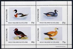 Eynhallow 1981 Ducks #2 perf  set of 4 values (10p to 75p) unmounted mint , stamps on birds