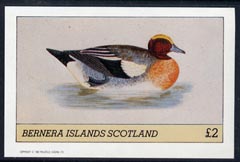 Bernera 1982 Ducks #4 imperf  deluxe sheet (£2 value) unmounted mint, stamps on birds
